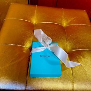 Brand new Tiffany’s sterling silver necklace